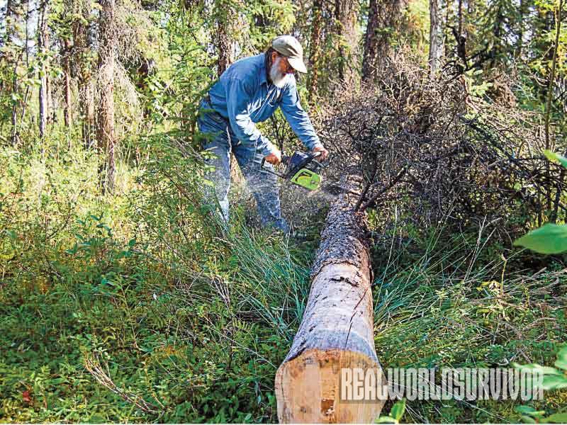 Building a Log Cabin Process, Log Cabin, chainsaw