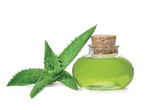 aloe vera is a natural antiseptic
