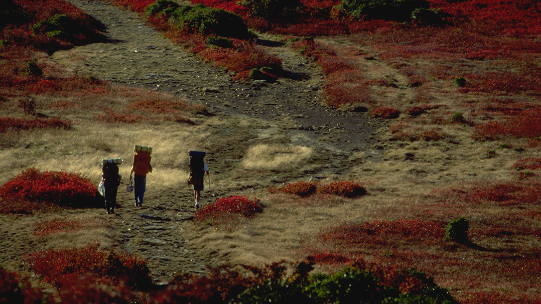 External Frame Packs, Dolly Sods Wilderness