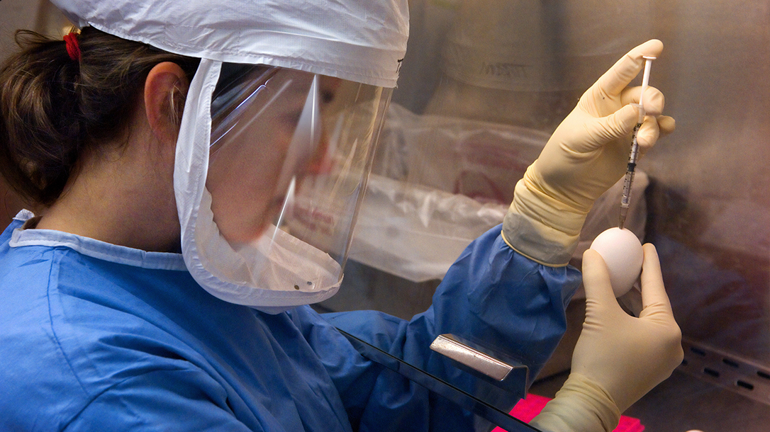Coronavirus Vaccine, COVID-19 Vaccine, Testing