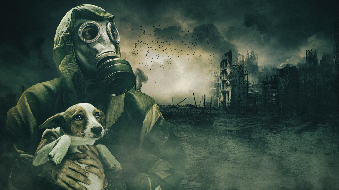 Eat your pet dog, dog recipes, apocalypse food