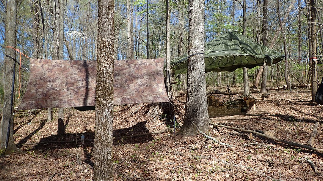 COVID-19 Quarantine, backwoods survival, camp