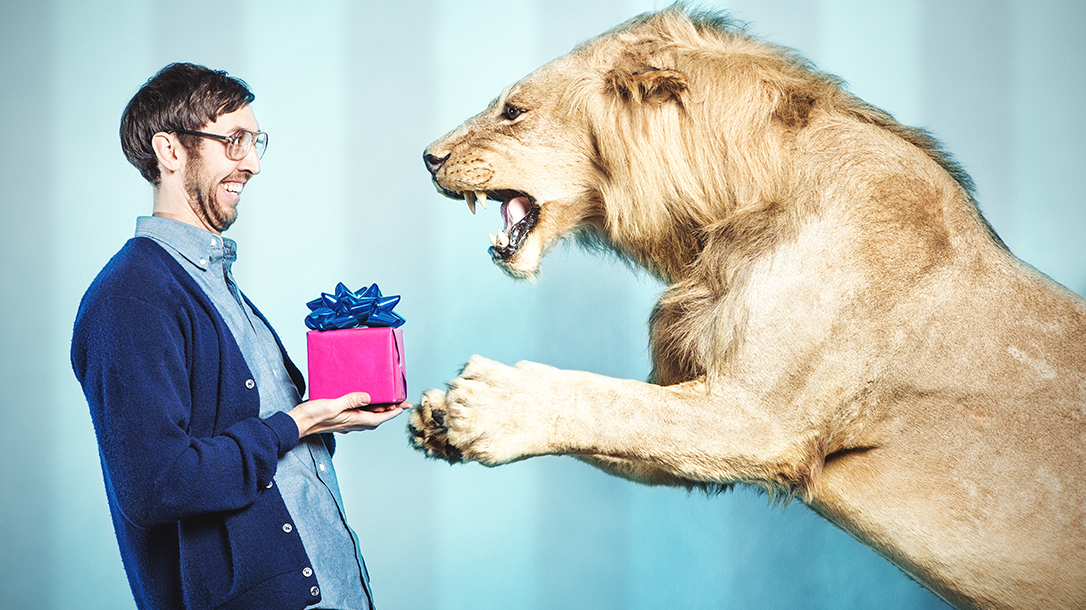 Learning animal dominance with a lion.