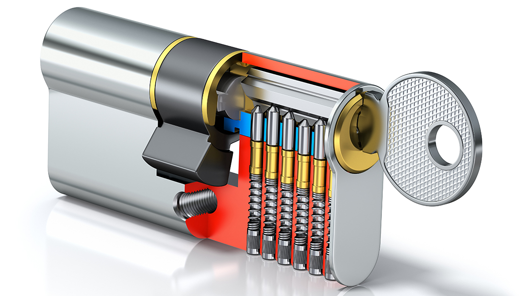 This illustration shows the internal parts in a lock cylinder.