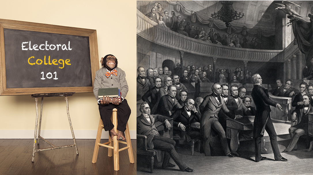Go back to school with Skillset and learn about the electoral college!