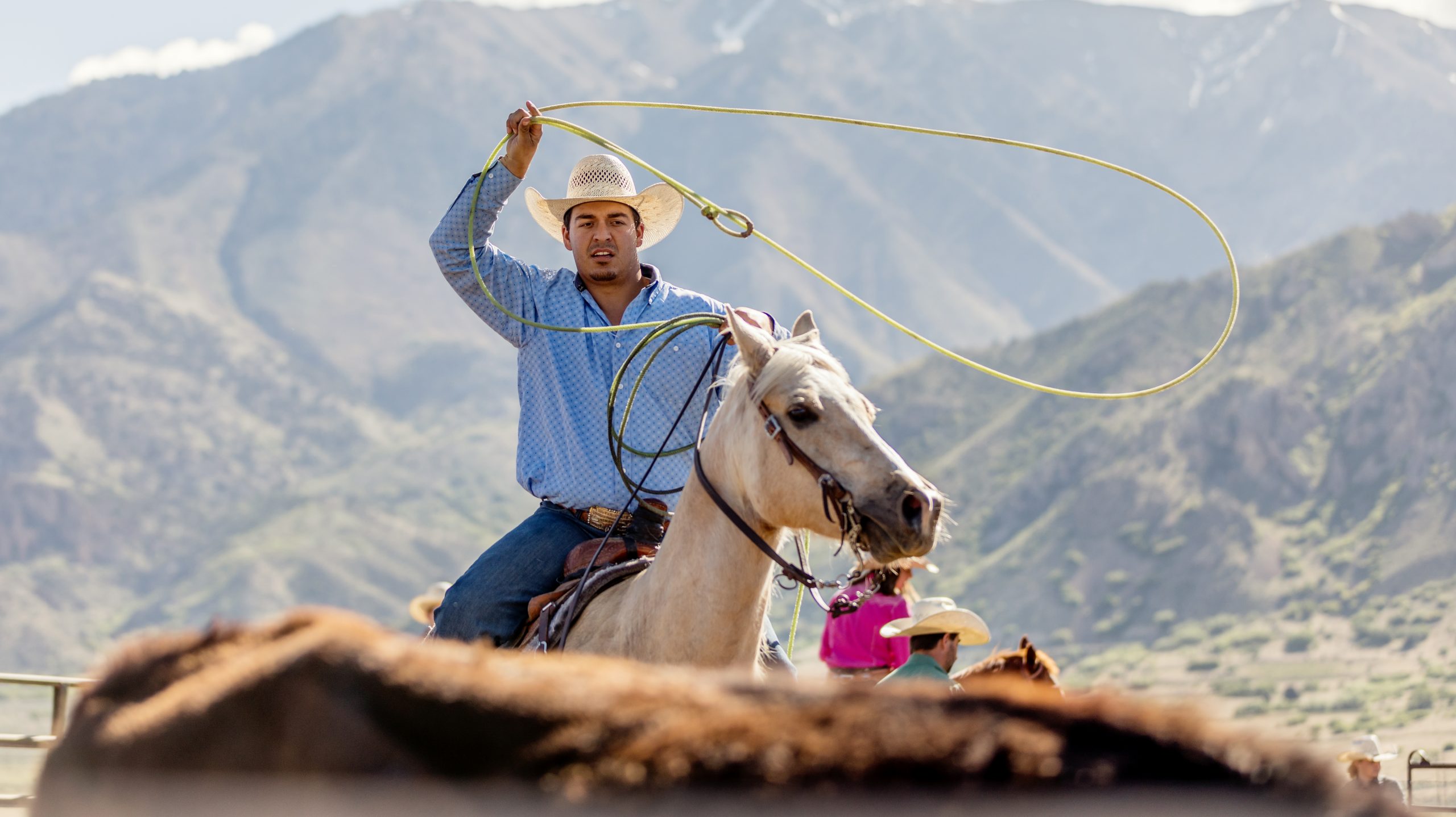 Roping and branding and modern cattle rustling.
