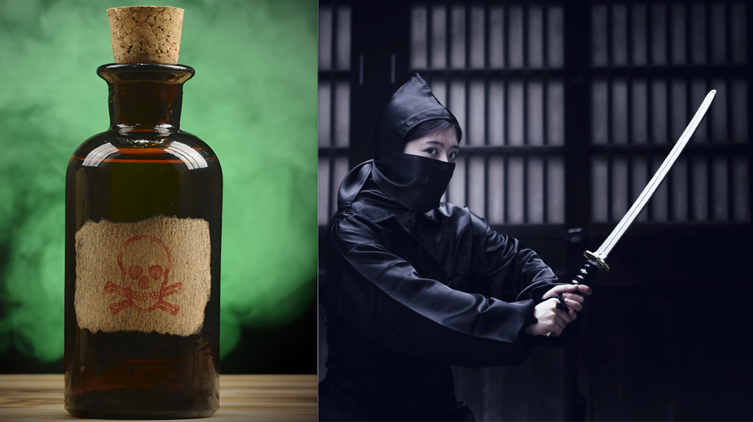 The kunoichi were truly elite level assassins of the Japanese culture.