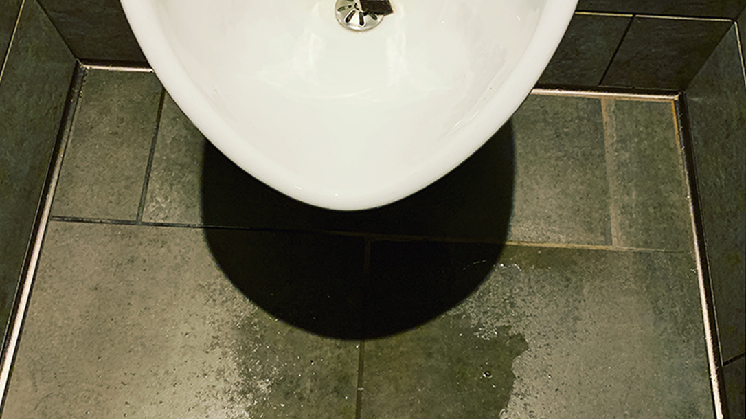 There are valuable lessons to be learned about life in the toilet.