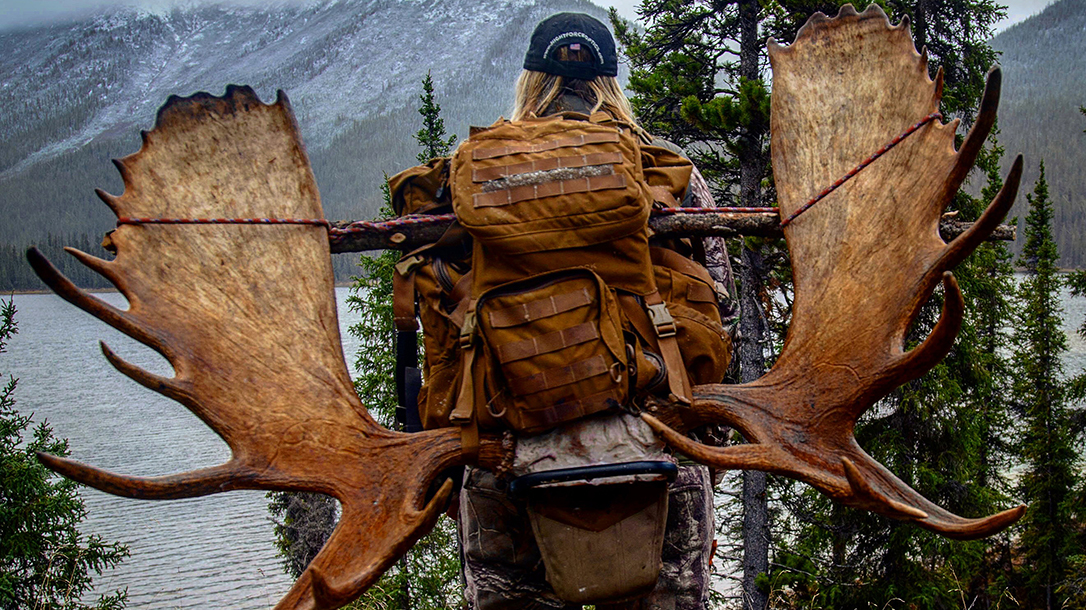 At home hunting any type of game, Larysa Switlyk is a waste rof the sport.