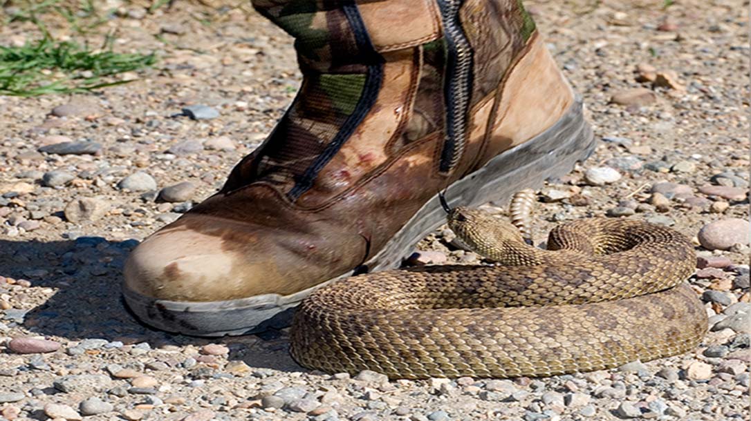 How to survive a snakebite is very useful information.