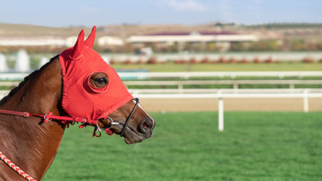 The Kentucky Derby attracts betting from across the globe.