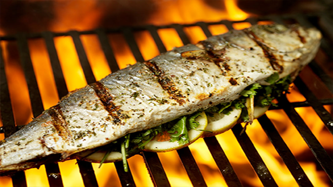 Eating fresh fish is very rewarding after successfully building your own fish trap.