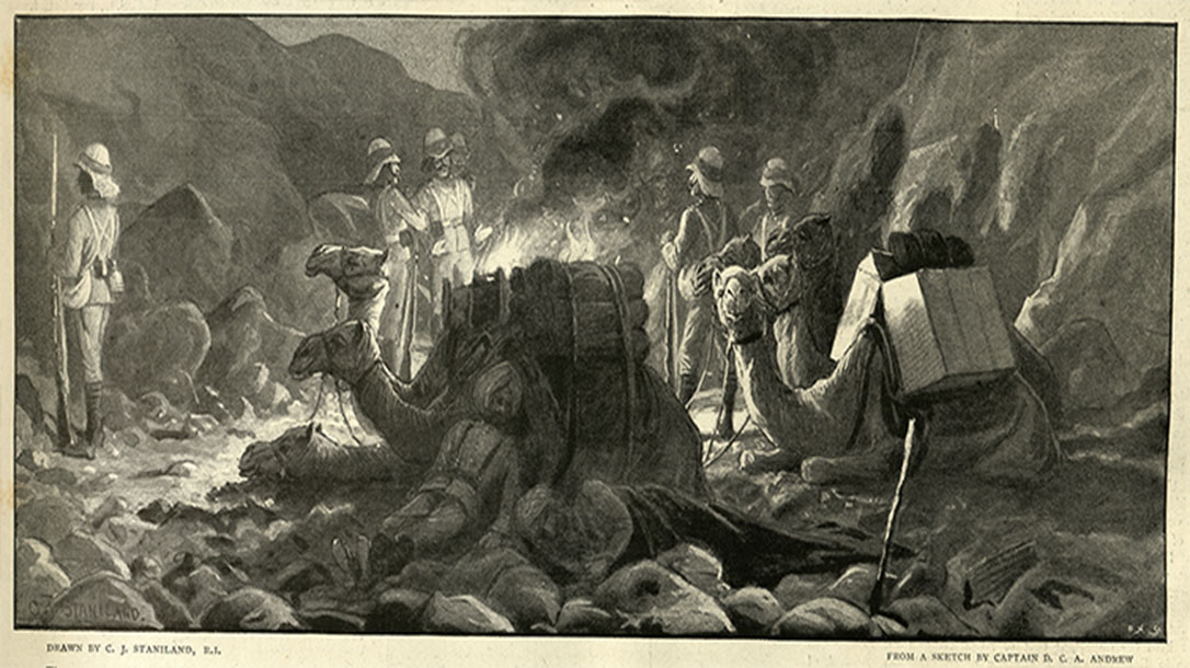 Did you know that many armies used camels for combat?
