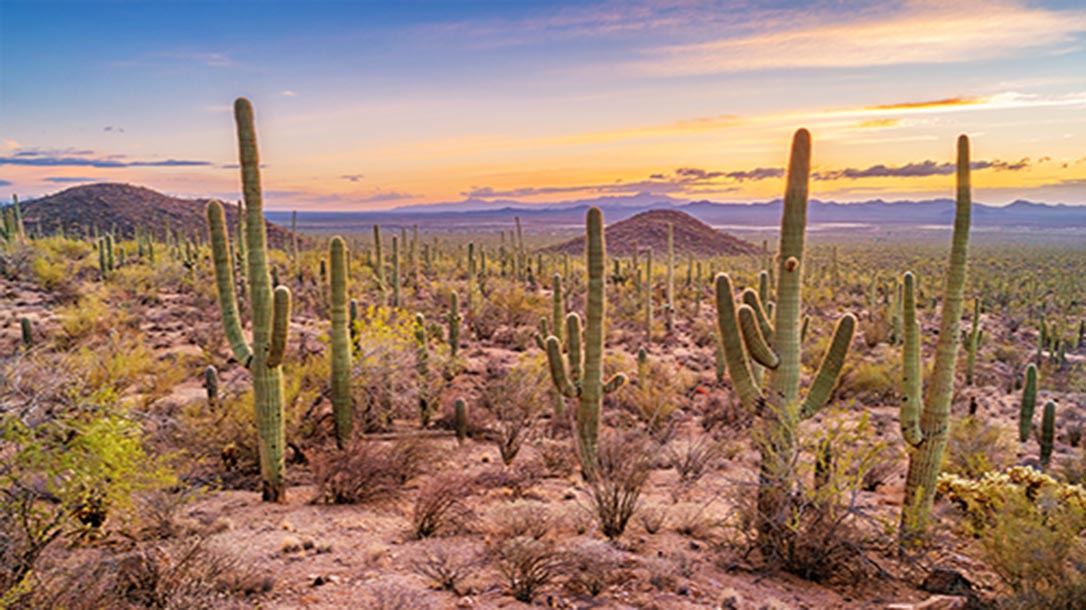 The Southwest can be dealdly due to extreme heat.