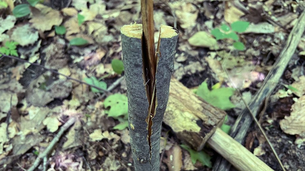 I created a wedge for splitting small rounds for kindling with the Prometheus Design Werx SPD STS.