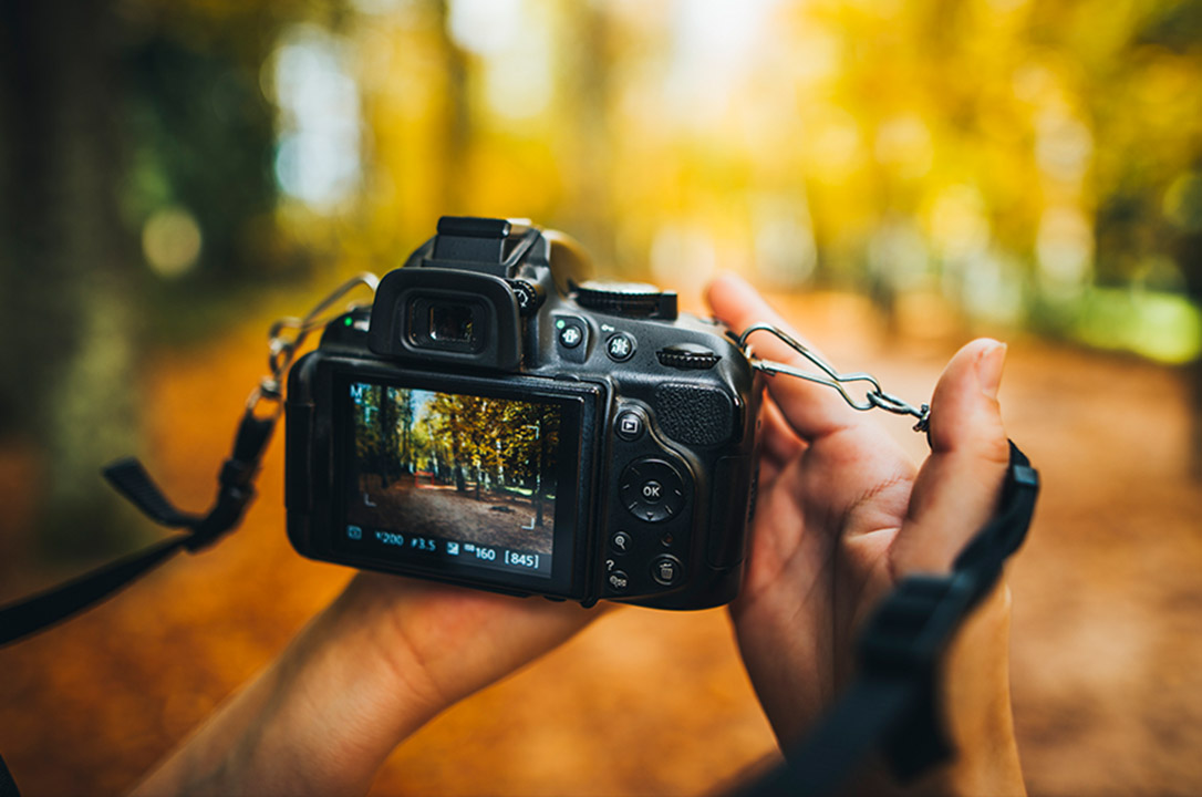Understanding how to compose a scene is the key to taking a good photo.