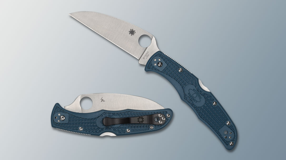 The Spyderco Endura 4 Wharncliffe.