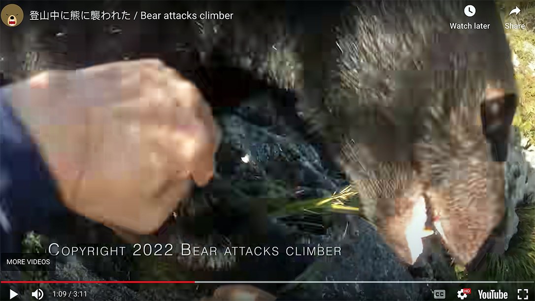 A bear attack forces a mountain climber to fight for his life in Japan.