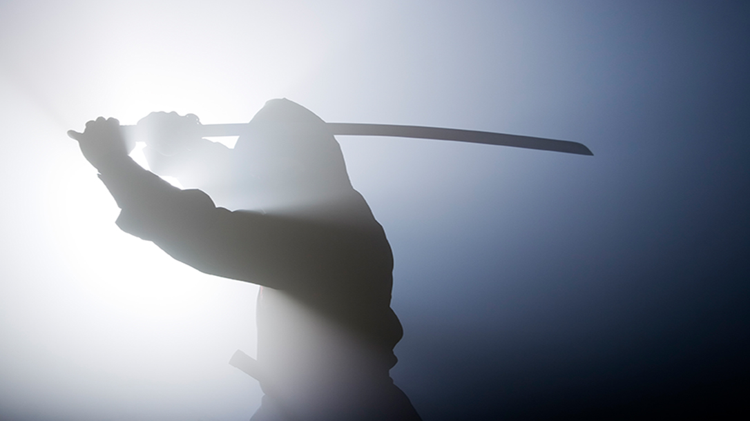 Is the katana the best weapon one can own for surfing zombies hordes in The Walking Dead?