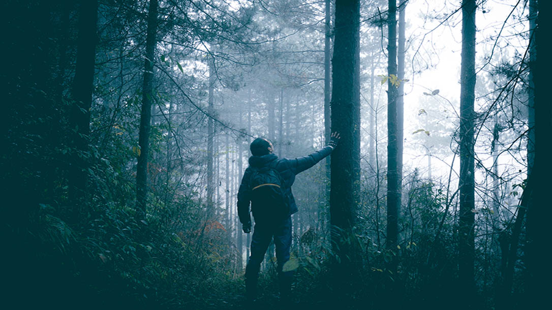 Becoming lost in the woods can happened even to a experienced outdoorsman, learn how ti avoid common mistakes.