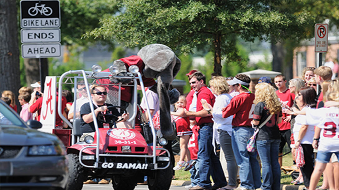 College mascots are beloved by all and play a major role in school spirit.