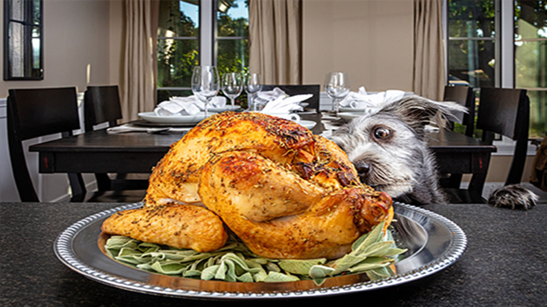Surviving Thanksgiving is going to require all of your patience this year.