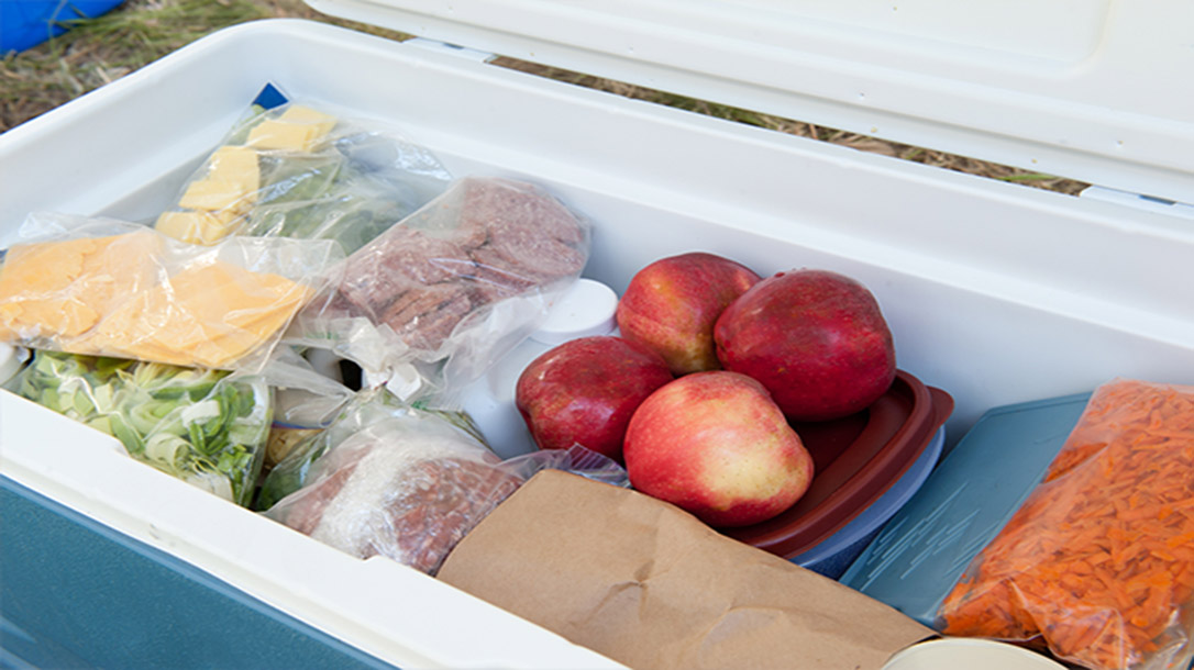 Having a great cooler is a necessity when you find yourself in the wilderness, or with a power outage.