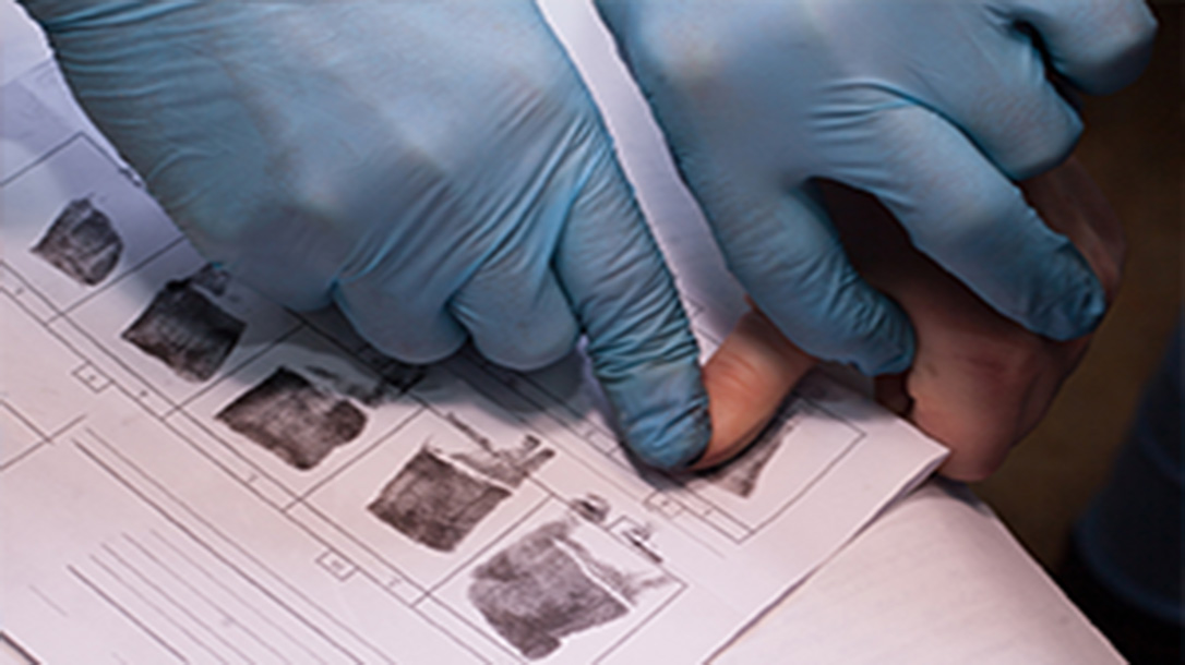 Know what it takes to become a great bounty hunter by learning on the job from professionals.