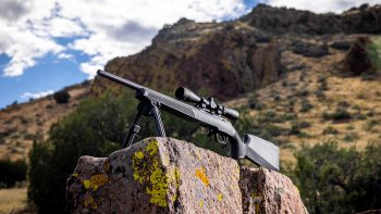 Springfield Armory Model 2020 Rimfire Target