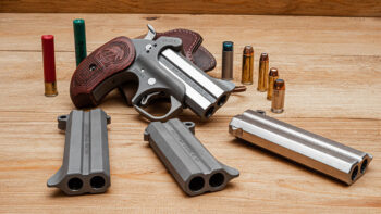 The Bond Arms Grizzly.