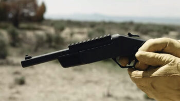 The Rossi Brawler .410/.45LC.