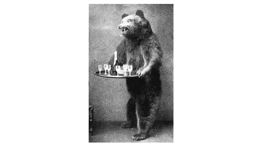 King Edward Bear Butler. 