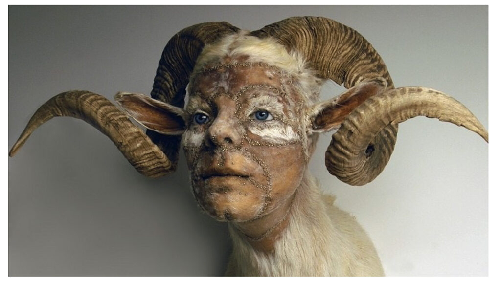 Kate Clark Manimals. 