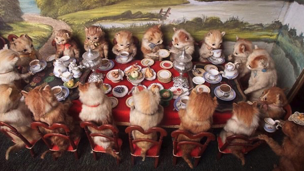 Walter Potter kittens