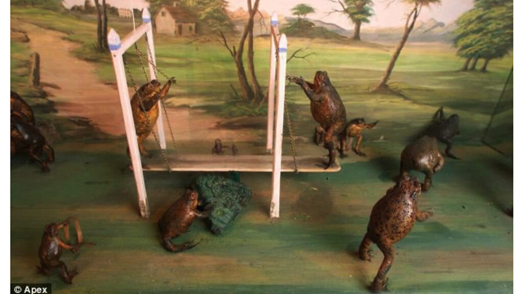 Walter Potter Athletic Toads