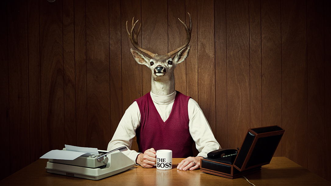 Whack Taxidermy lead