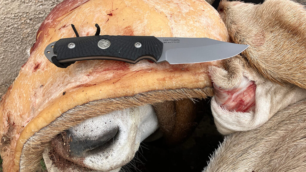 The Night Hunter easily handled the tough hide of the scimitar oryx.