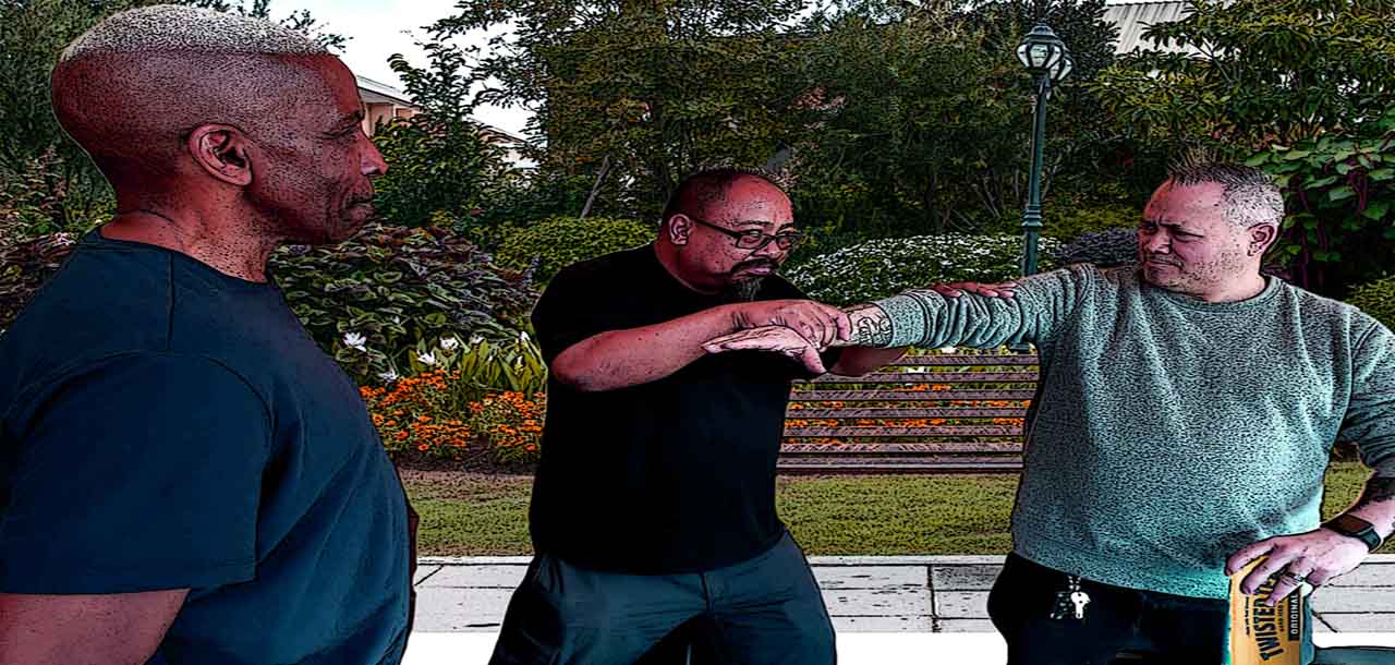 Grab your enemy's arm and toss him like a true kung fu master.