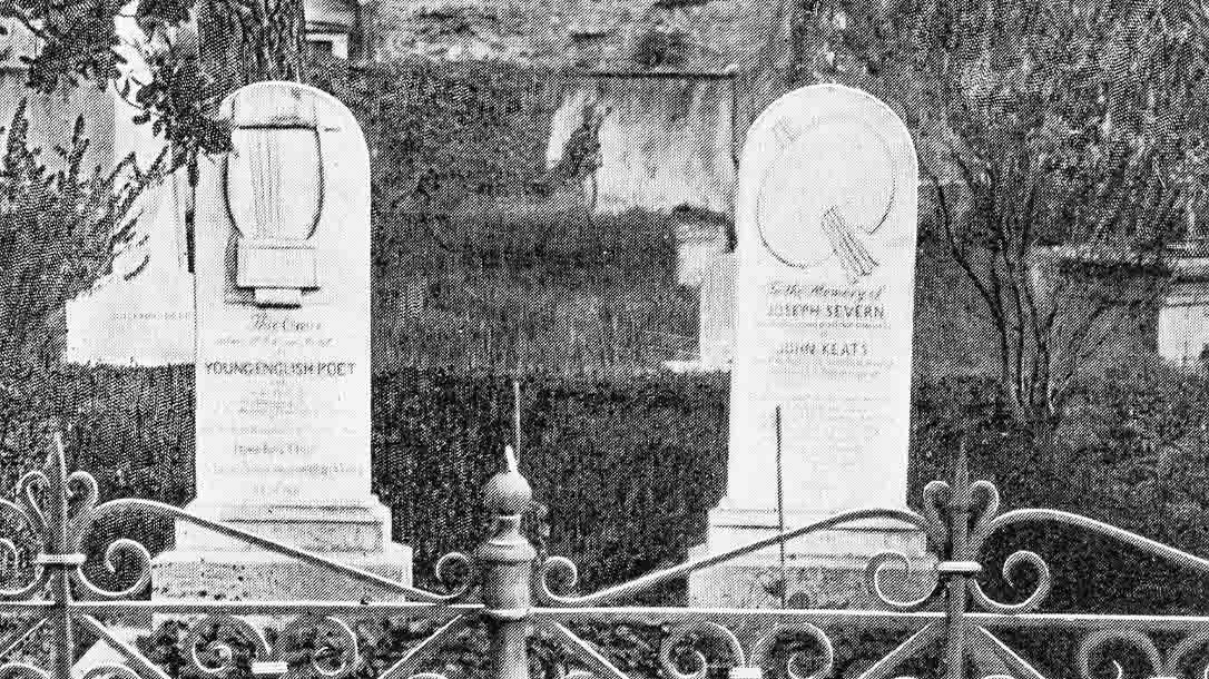 Pandemics and plagues leave many innocent victims in their wake.