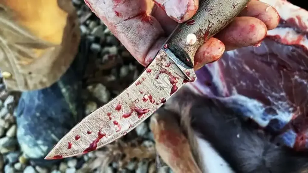 A good example of custom skinning knives put to work. 