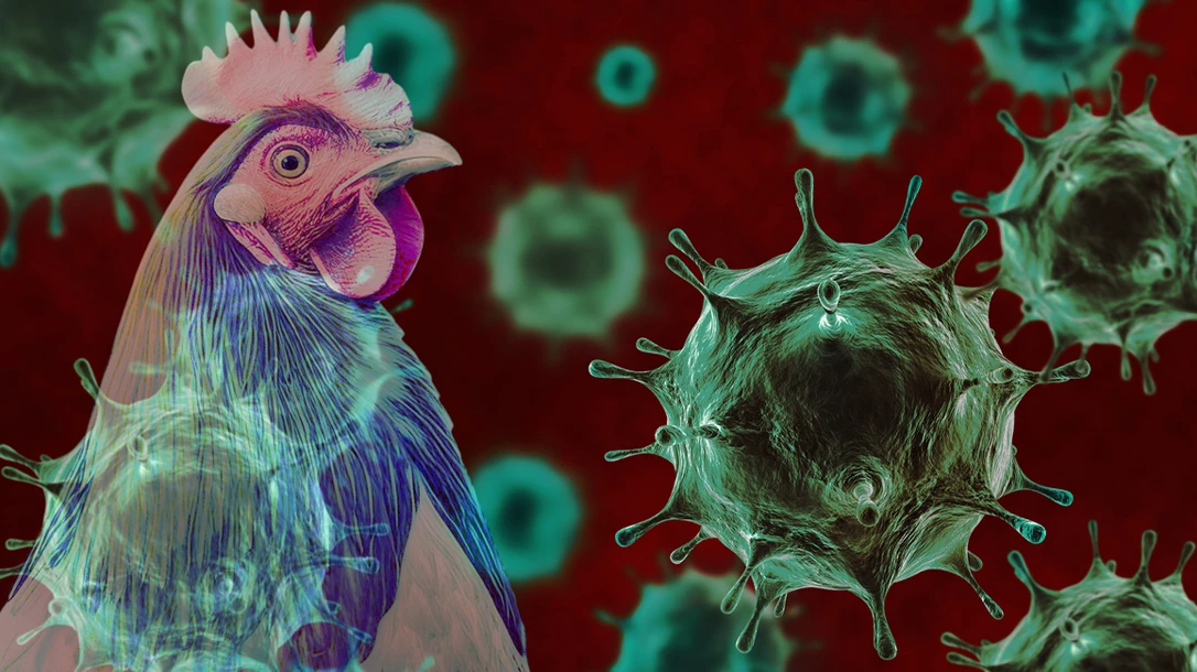 Deadly viruses are being lab made everday by secret agencies.
