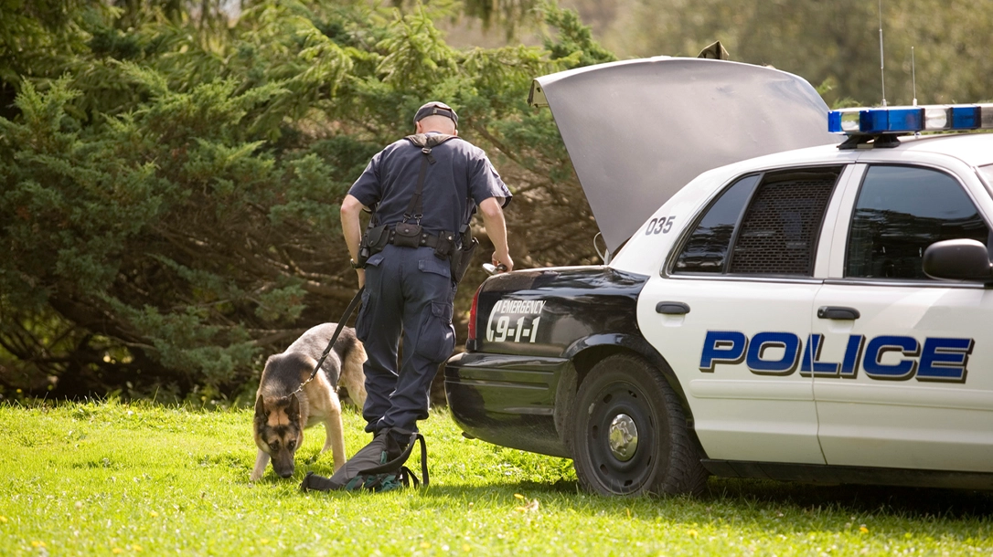 Polic K9s are some of the hardest working dogs in the world, tasked with many duties.