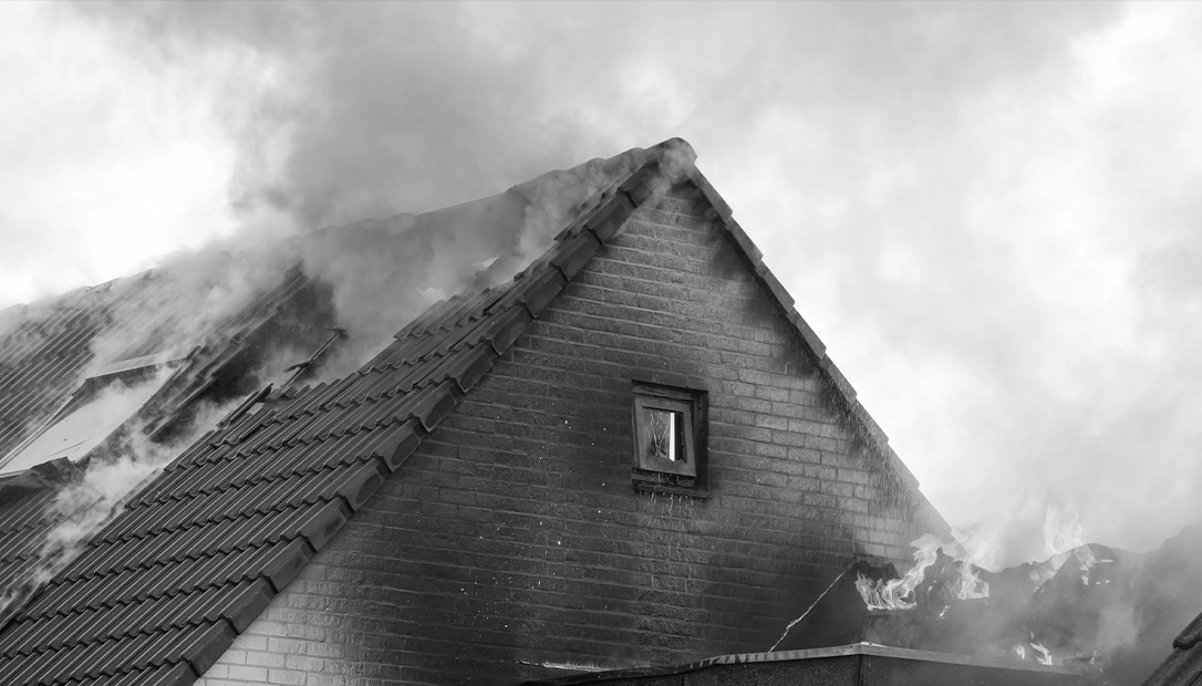 The bats would roost under the eaves of roofs and then combust starting fires.