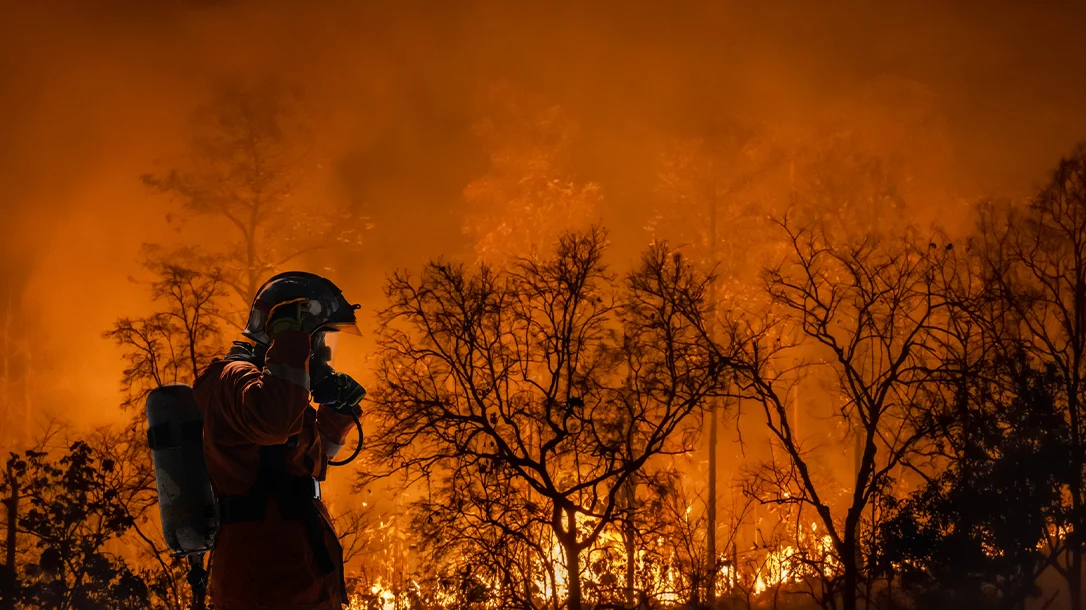 Physical fitness and endurance are key as aspiring wildland firefighters prepare for the unpredictable challenges of the job.