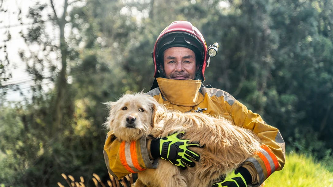 Wildfire firefighters battle the flames head-on, showcasing courage and determination in the line of duty.