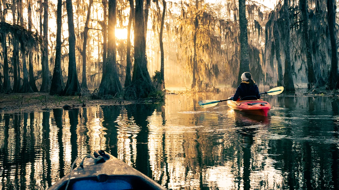 Navigating the lush labyrinth of a swamp! Every turn reveals a new hidden wonder