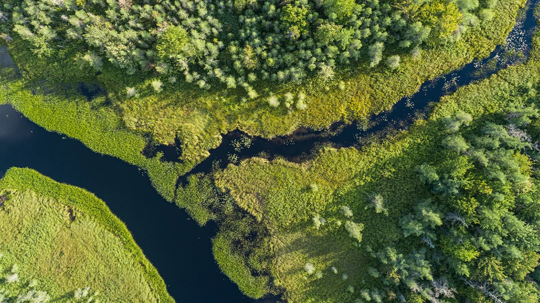 Mastering the unique challenges of the swamp is key to unlocking its secrets