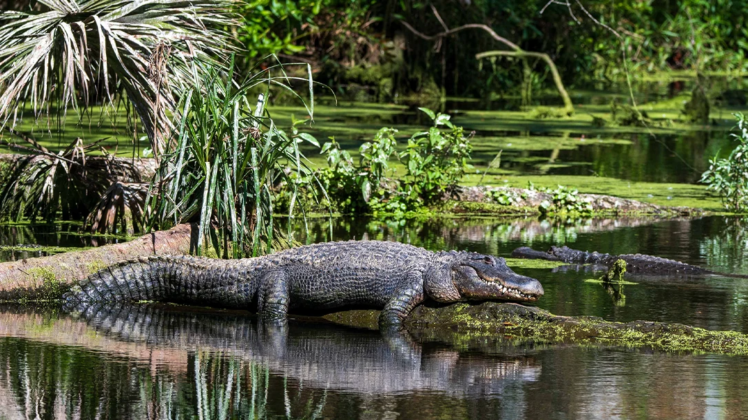 A reminder that even the trickiest landscapes can offer unforgettable experiences.