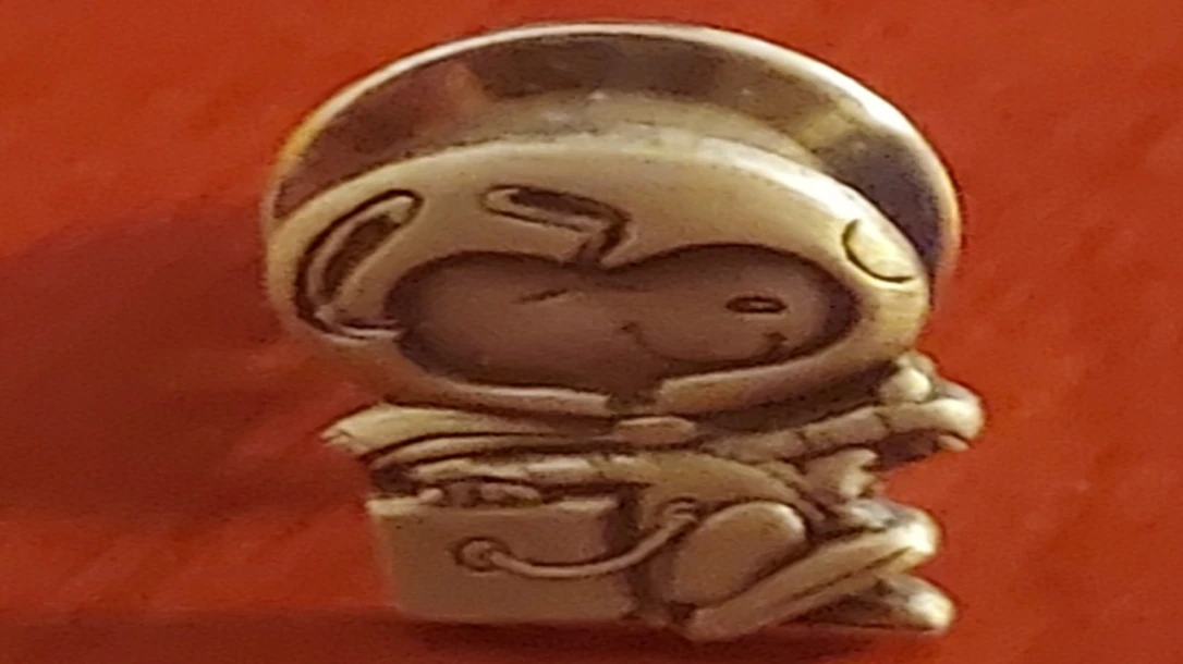 Silver Snoopy pin: This Silver Snoopy Pin was flown on the STS-106 mission.