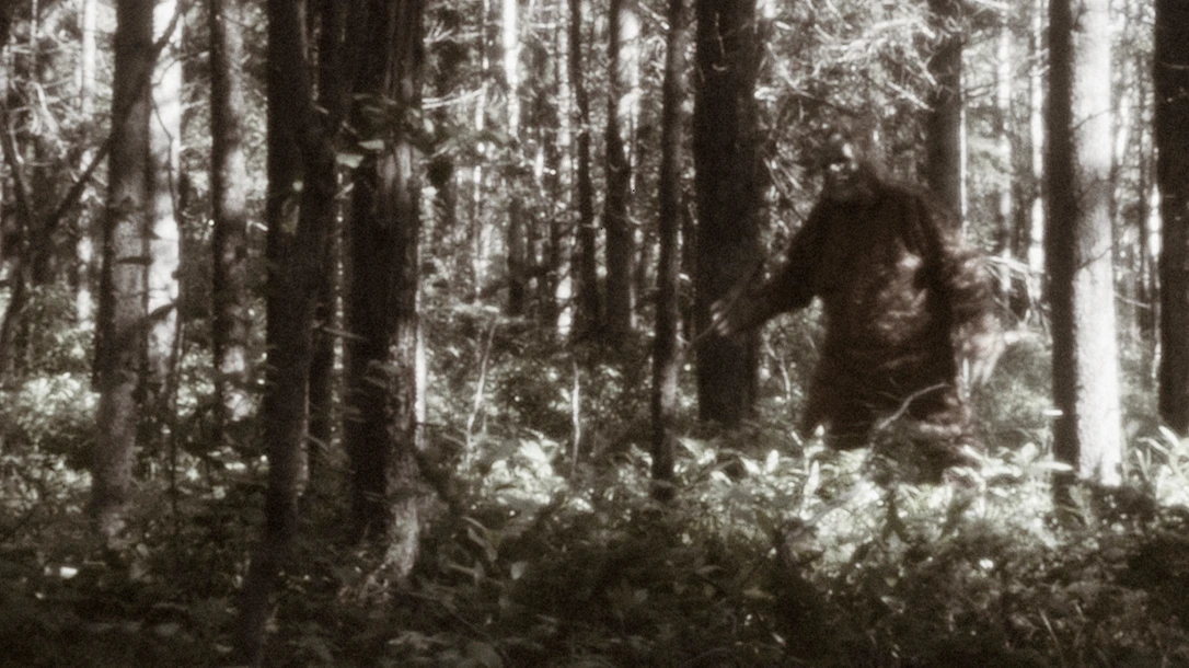 Bigfoot is a perfect example of an American Urban Legend.